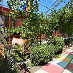 Campsite Casuta De La Mare *