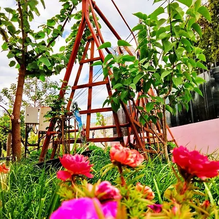 Casuta De La Mare Kemping