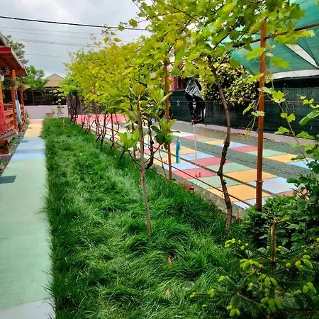 Casuta De La Mare Corbu (Constanta)